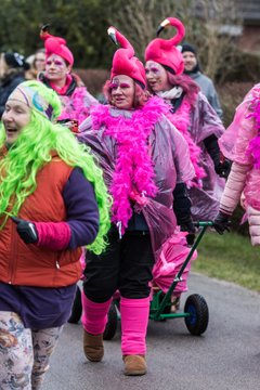 Bild 309 - Latuff Umzug